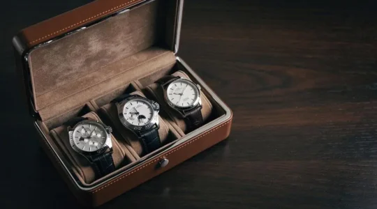Collection de montres de luxe disposées avec élégance dans un écrin ouvert, évoquant patrimoine et prudence face à la spéculation